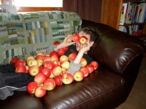 Photo-2013-01-03-15.35.25-624x468